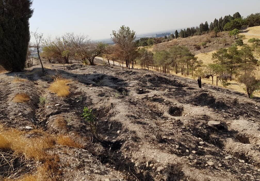 مهار آتش‌سوزی در بوستان جنگلی چیتگر