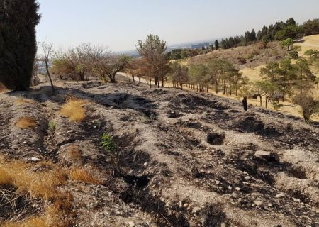 مهار آتش‌سوزی در بوستان جنگلی چیتگر