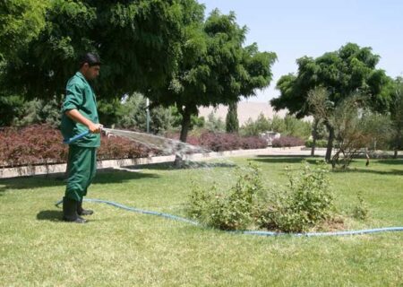 درختان خشک تهران باید جمع‌آوری شوند