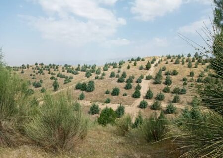 از بوستان‌های روستایی تهران چه خبر؟