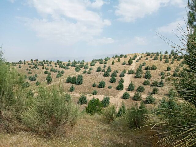 از بوستان‌های روستایی تهران چه خبر؟