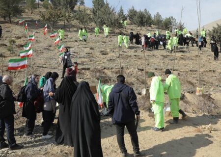 کاشت نهال به یاد زنان و کودکان شهید غزه در ارتفاعات منطقه۲