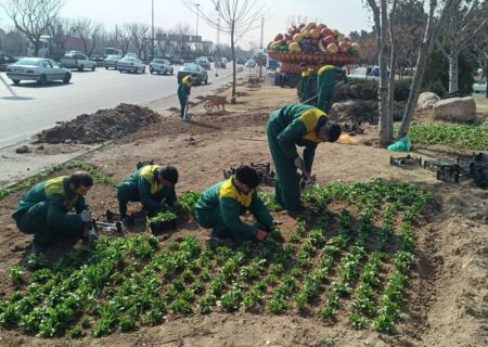 کاشت بیش از هزار و ۶۰۰ اصله درخت و درختچه در عرصه‌های فضای سبز منطقه ۱۹