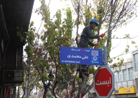 هرس ۱۶ هزار اصله درخت در بزرگراه‌ها و بوستان‌های منطقه۱۶