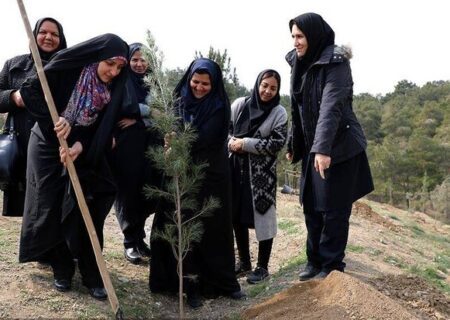 کاشت درخت توسط شهروندان در بوستان چیتگر