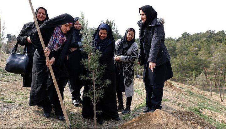 کاشت درخت توسط شهروندان در بوستان چیتگر