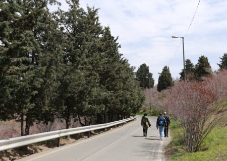 نصب تله‌های جالب برای آفت پوستخوار کاج در بوستان سرخه حصار