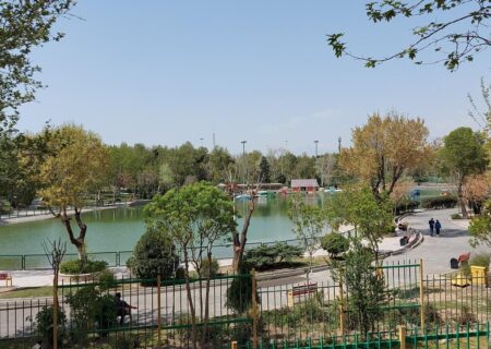 جریمه قطع درختان صرف ساخت ۲۰ بوستان جدید در تهران می‌شود