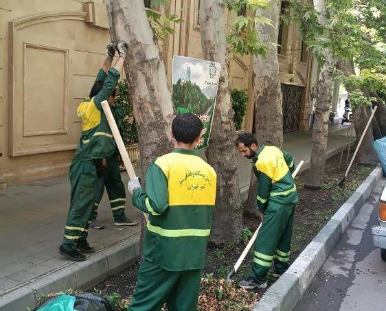 طرح باغچه آراسته در محلات منطقه یک اجرا شد