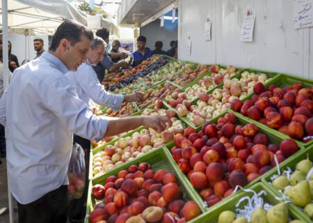 شهرداری در ۹۲ محله تهران بازار میوه و تره‌بار ندارد