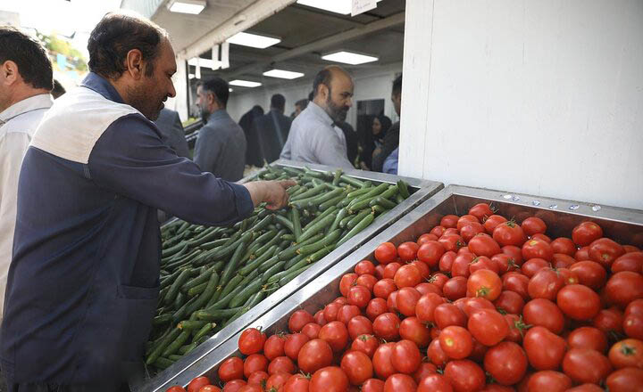 بهره‌برداری از ۱۵ میدان تره‌بار جدید تا آخر سال