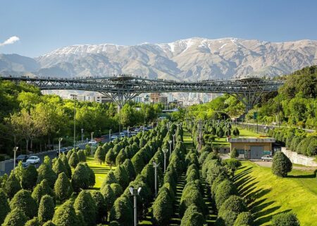 برگزاری همایش تای چی چوآن بر روی «پل طبیعت»