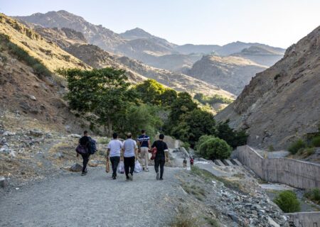 خرگوش دره میزبان تهرانی‌ها خواهد بود