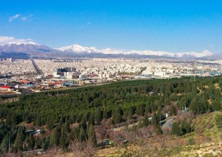 کاشت ۴۰۰ اصله نهال در بوستان جنگلی سرخه‌حصار