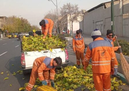 جشنواره برگ پاییز در منطقه ۱۲ برگزار می‌شود