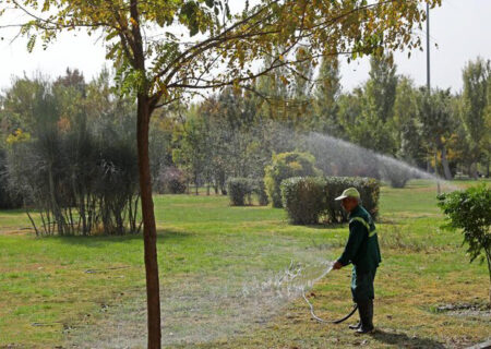 بررسی سرانه فضای سبز پایتخت براساس اسناد بالادستی