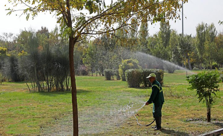 بررسی سرانه فضای سبز پایتخت براساس اسناد بالادستی