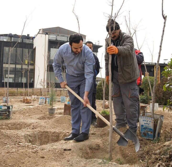 چیتگر فقط بوستان نیست، احیای فضای سبز باملند در هفته درختکاری