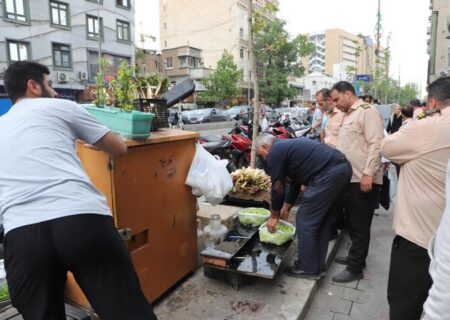 ساماندهی دستفروشان در محور تجریش آغاز شد