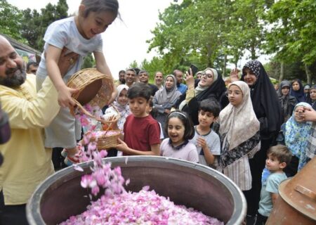 برپایی جشنواره گلاب‌گیری در منطقه یک