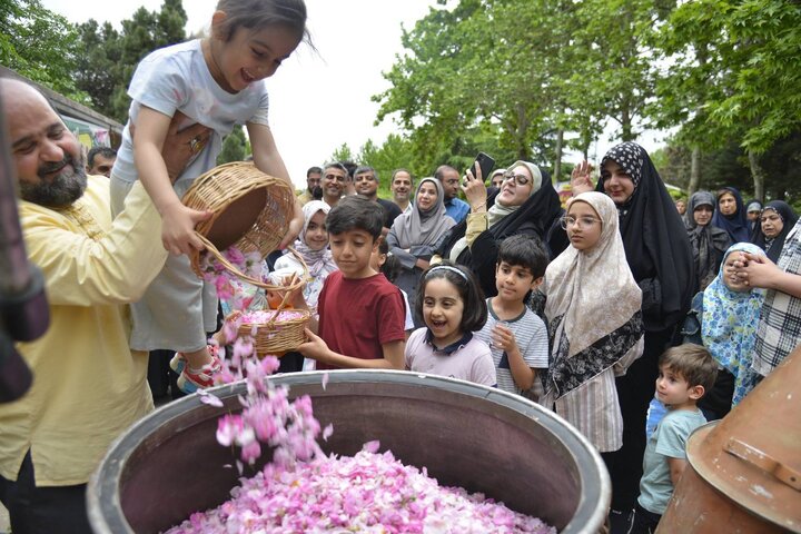 برپایی جشنواره گلاب‌گیری در منطقه یک