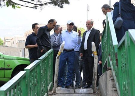 ساماندهی‌ سه بوستان بزرگ منطقه یک در دستور کار قرار گرفت