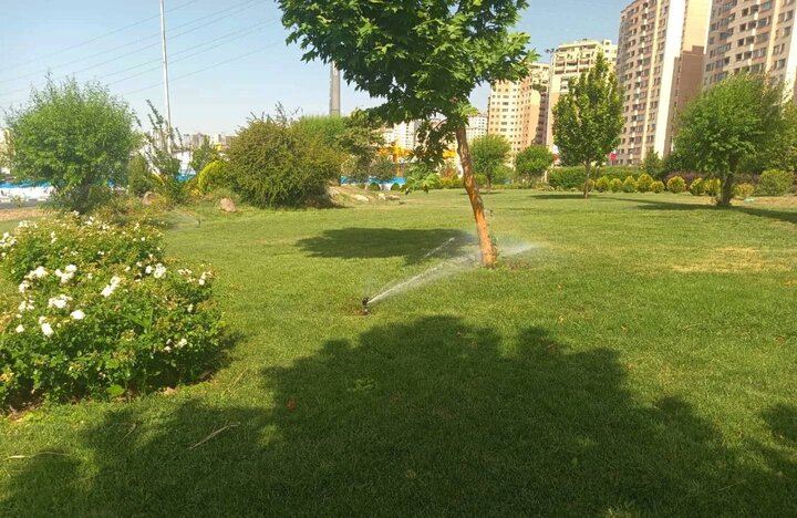 آبیاری مکانیزه ۷۰ درصد درختان تهران