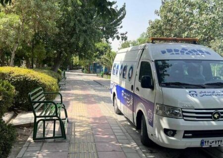 استمرار طرح جمع‌آوری آسیب‌های اجتماعی در منطقه ۹
