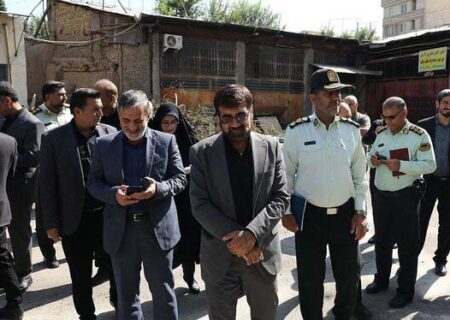 ساماندهی وضعیت راسته شیمیایی‌فروشان ظرف ۱۵ روز آینده