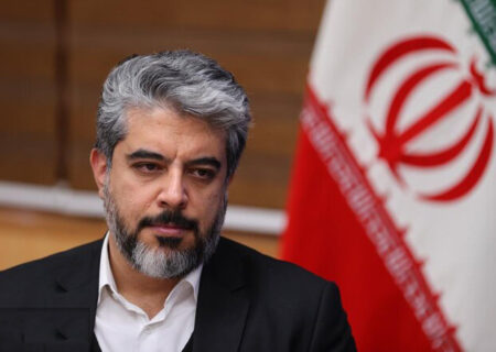 تقدیر استانداری تهران و وزارت صمت از مجموعه شهروند