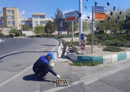 مبارزه با جانوران موذی در ۷۰۰ نقطه از معابر شمال‌غرب تهران