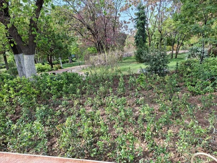 پیشرفت ۹۰ درصدی پروژه بوستان رازی