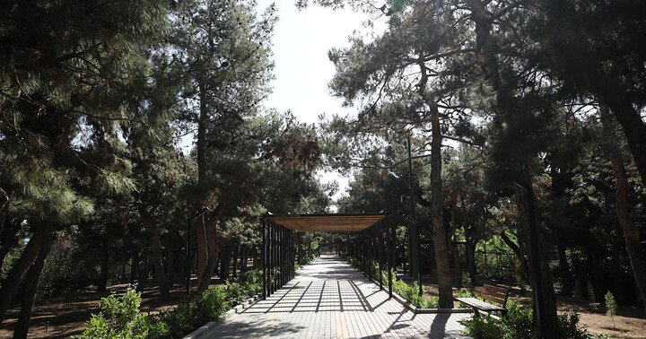 ساخت بوستان شهدای دانش‌آموز میناب به کجا رسید؟