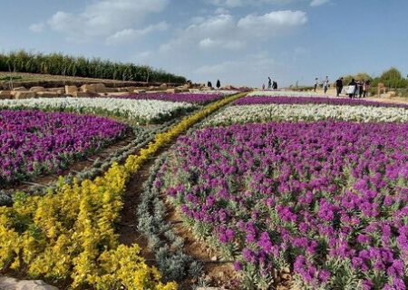 باغ گل‌ها مهرماه و همزمان با جشنواره گل‌های داوودی افتتاح می‌شود