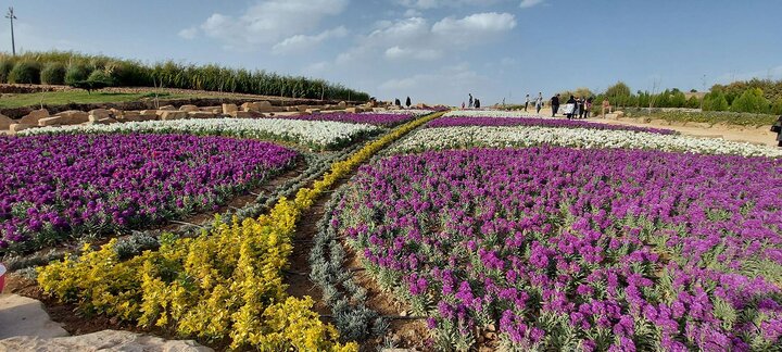 باغ گلها مهرماه و همزمان با جشنواره گلهای داوودی افتتاح میشود
