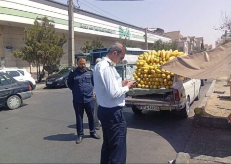 ساماندهی و جمع‌آوری خودروهای اسقاطی و وانت‌بارهای فروشنده آغاز شد